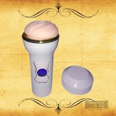 Lotus Aircraft Cup MS-045