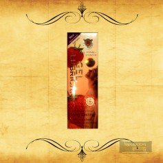 Jaguar Power Lube Gel CGS-003