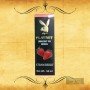 Playboy Lubricant Water Based Gel - Strawberry Flavoured CGS-034