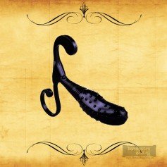 G point Prostate Massager GS-002