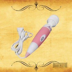 Powerful Multispeed Fairy Female Personal Wand Massager VM-009