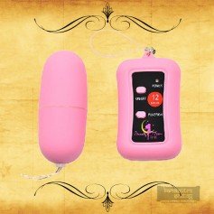 Remote Control Vibrating Egg BV-003