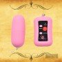 Remote Control Vibrating Egg BV-003