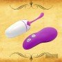 20 Modes Vibration Wireless Vibrating Egg for Female BV-010