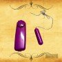 Personal Vibration Jump Egg Vibrating Bullet Massager BV-030