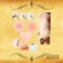 Silicone Nipple Pad BSP-002