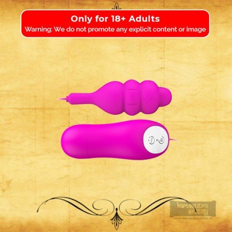 Purple Bullet Vibrator with 12 Vibration Settings BV-042
