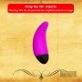 Baile Pretty Love Secret Vibrator with 10 Vibration Modes SV-001